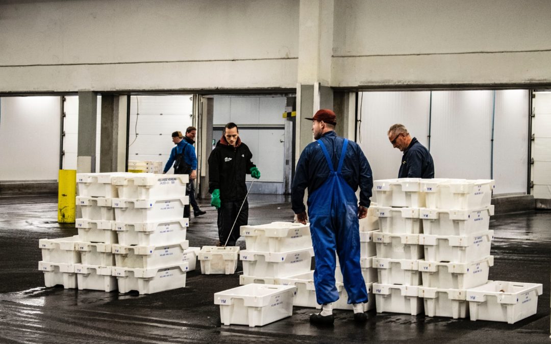 Mobbing: o que é, consequências e como o combater