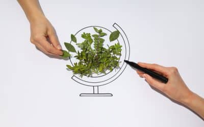 Responsabilidad medioambiental: El papel de las empresas ante los riesgos medioambientales.