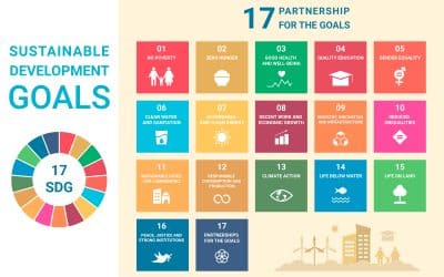 La sostenibilidad, una tarea pendiente para 2024