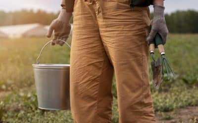 Protegerse es más fácil de lo que parece: 10 gestos clave para evitar picaduras en el trabajo