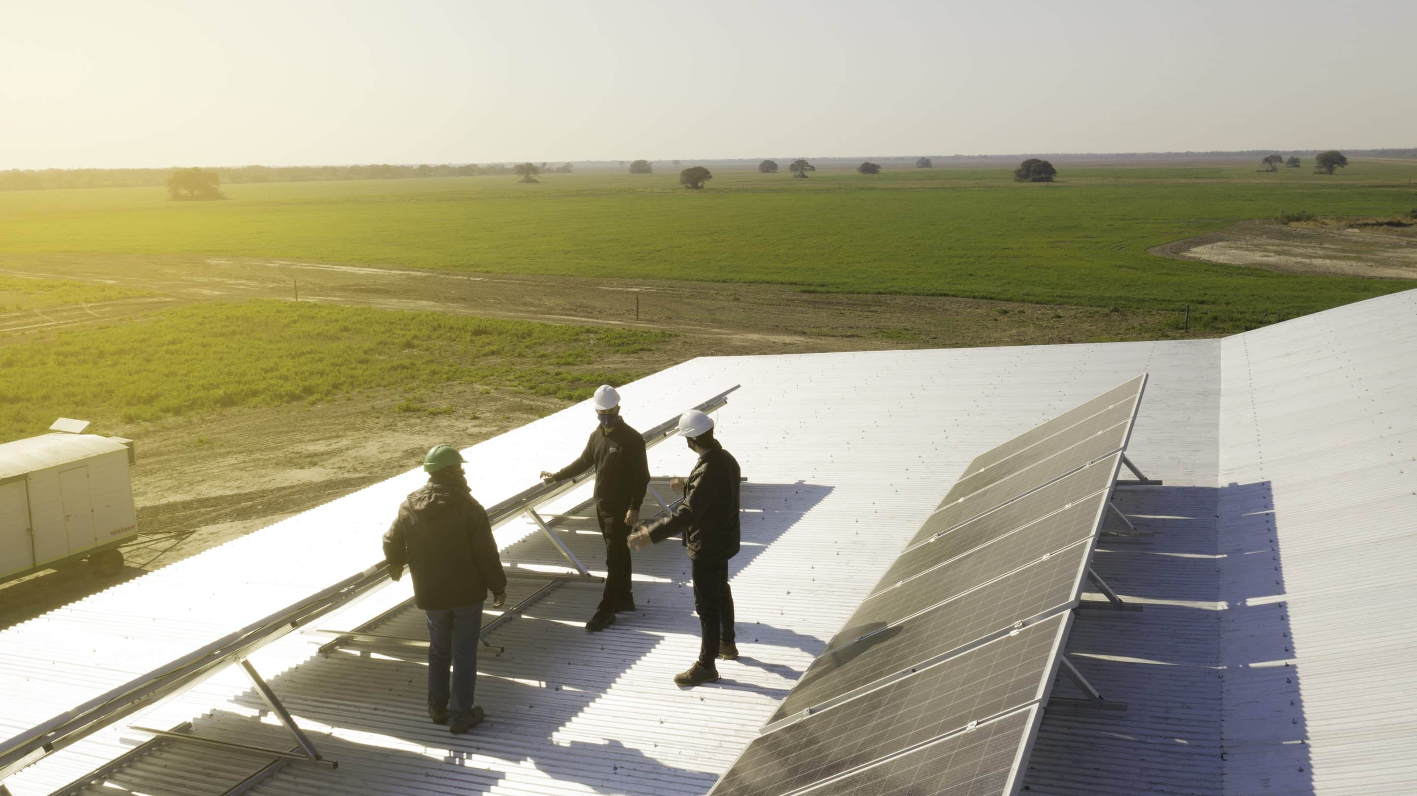 Renewable Energy is the future. Tres trabajadores trabajan en la instalación de paneles solares. La imagen muestra los riesgos laborales de los empleos verdes.